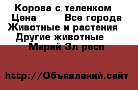 Корова с теленком › Цена ­ 69 - Все города Животные и растения » Другие животные   . Марий Эл респ.